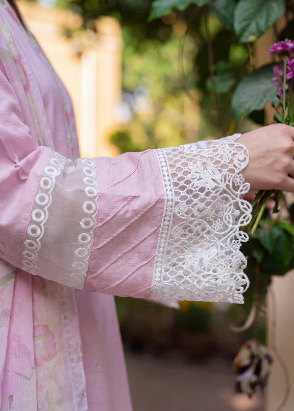 Moonflower Pink