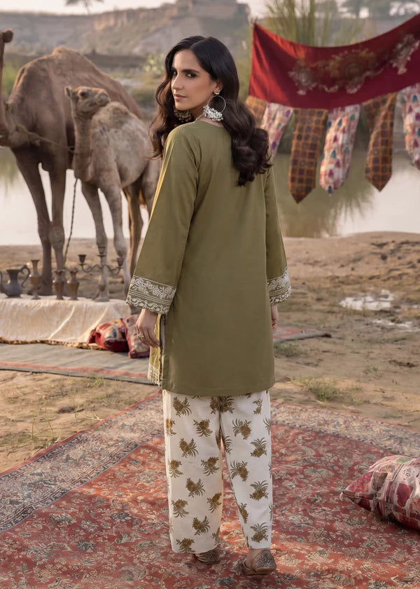 Parda e Nasheen