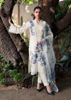 Rohini Zinc