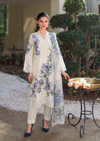 Rohini Zinc