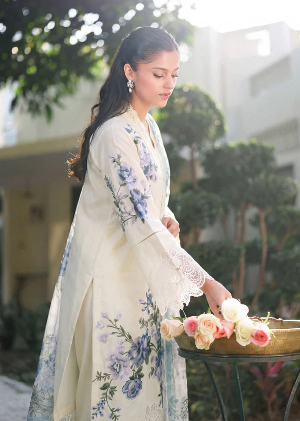 Rohini Zinc