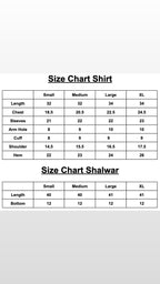 Kameez - AZ13