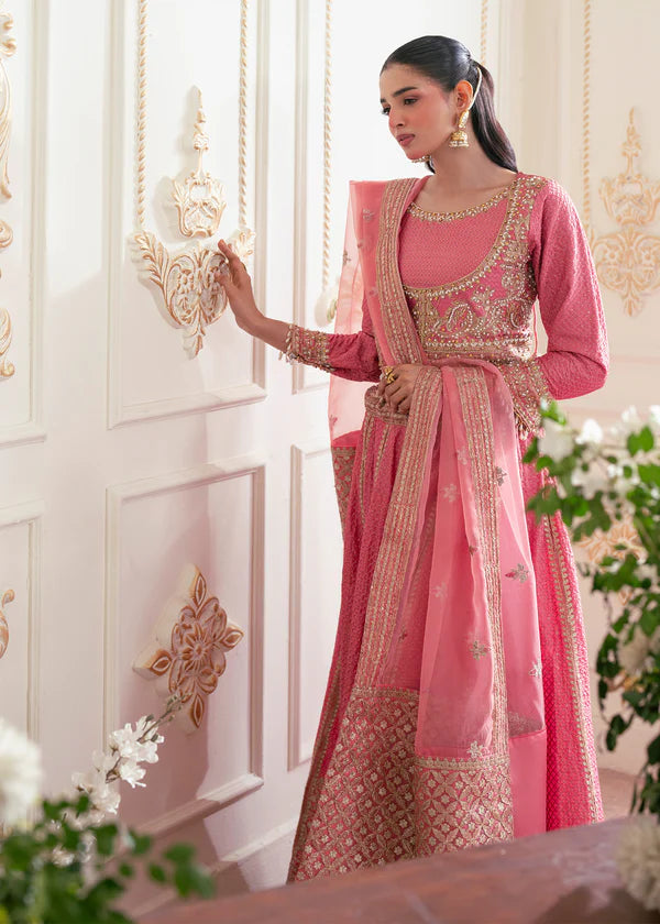 Blush