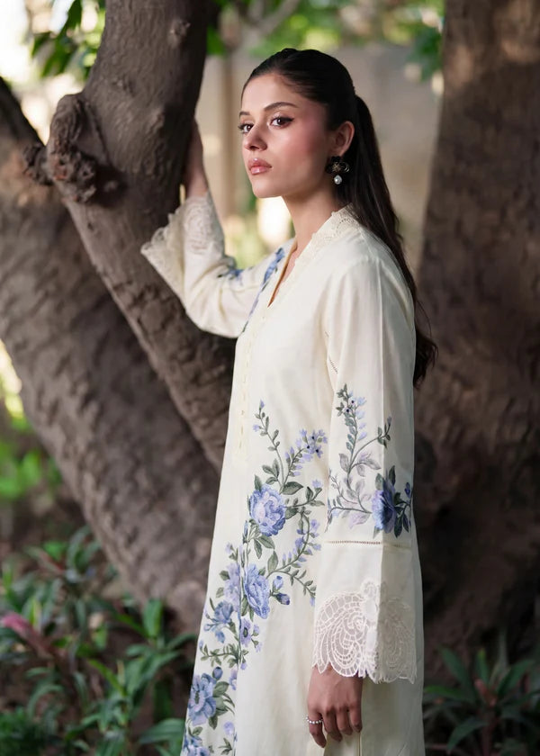 Rohini Zinc