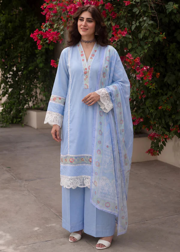 Moonflower Blue