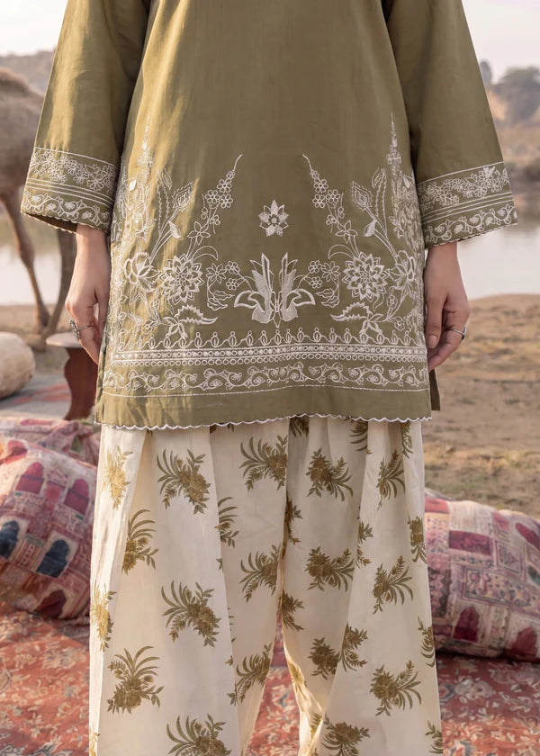 Parda e Nasheen
