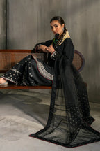 Kainat - CRP-25-231-C