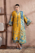 Embroidered Dhanak